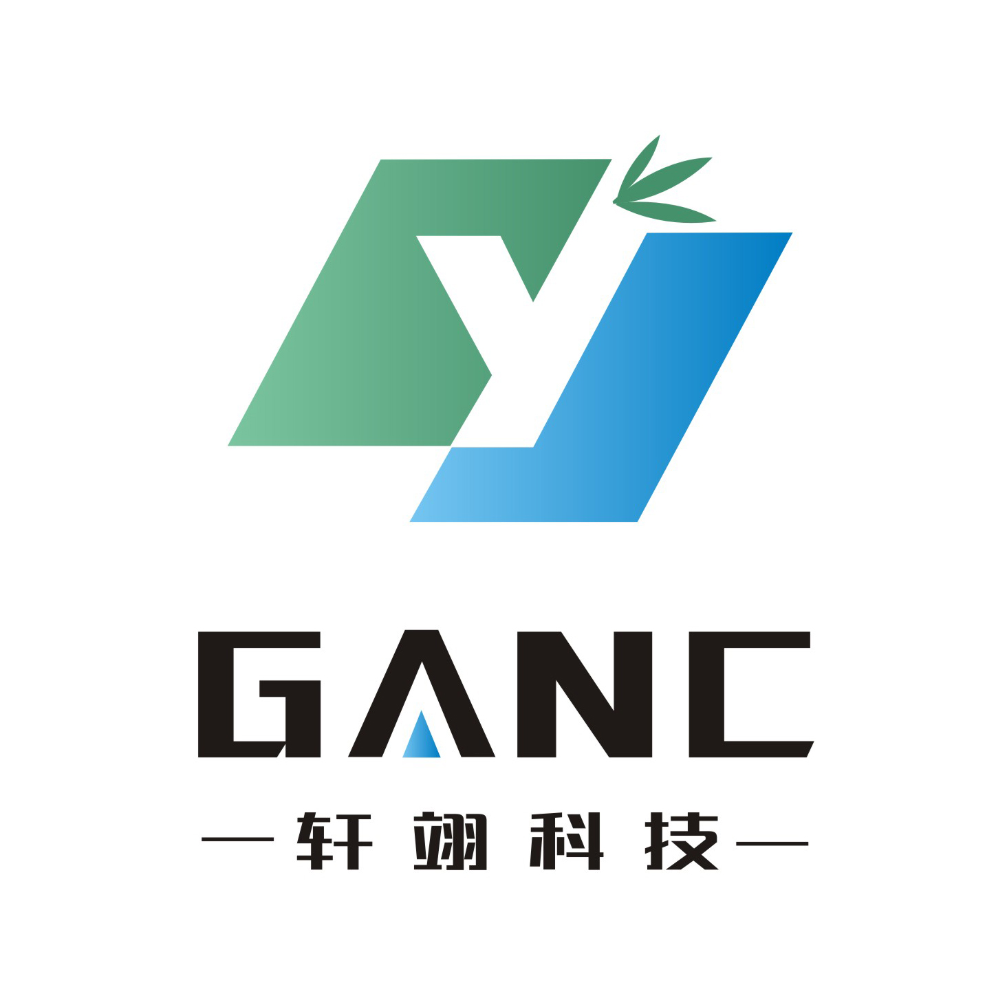 网站